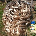 Стиль в Инсаре